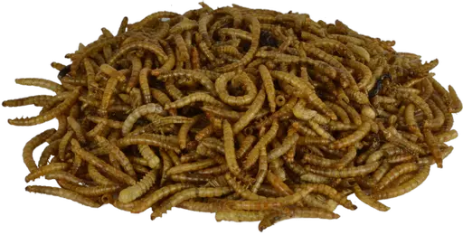 Supa Dried Mealworms pile.png
