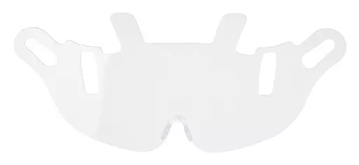 Endurance Visor Replacement