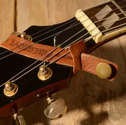 9 headstock loop.jpg