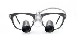 Focus Galilean Carbon Raw Front (Low).jpg