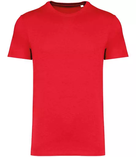 NS305%20POP%20FRONT.jpg?