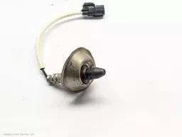 1c60cd1c-5f2f-494b-bc70-e54262789550.jpeg?