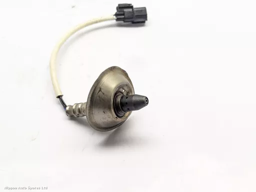 1c60cd1c-5f2f-494b-bc70-e54262789550.jpeg?