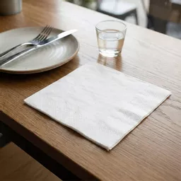 _0000s_0001_NAPKIN000093.jpg