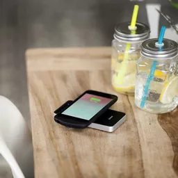 ZEPB01B005 (Copy).png