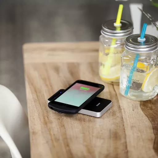 ZEPB01B005 (Copy).png