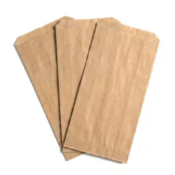 _0001_127 x 51x 254mm Hot N' Crispy Bag Kraft.jpg