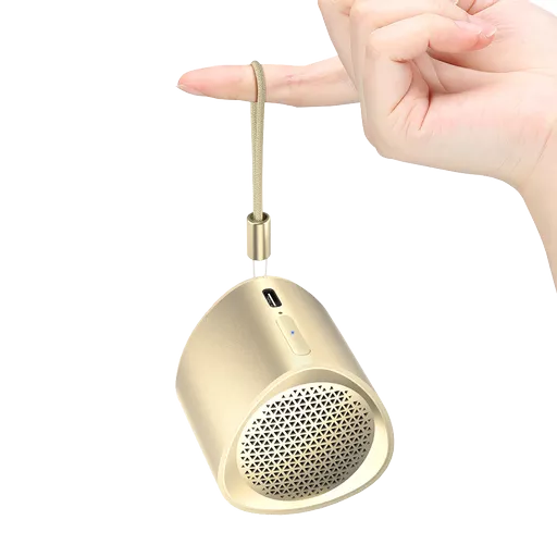 9859083 (Copy).png