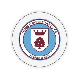 mockup-1763993438329-1-0.png?