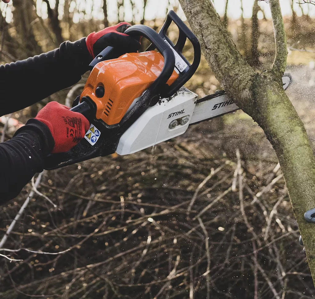 Do I Need Permission to Cut Down a Tree in Cheshire?