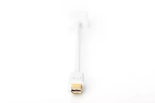 ihmasRjD90m3FgCJJKGMTA.c-r.jpg?