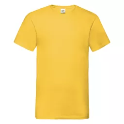 Men's Valueweight V-Neck T-Shirt