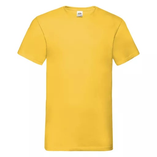 Men's Valueweight V-Neck T-Shirt