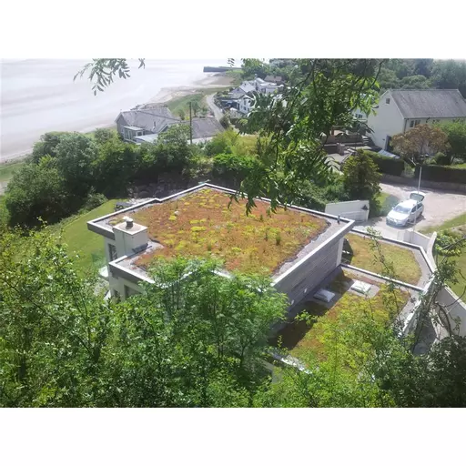 Mr Green Light Weight Flat Living Roof Kit