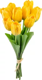 IT393851.jpg