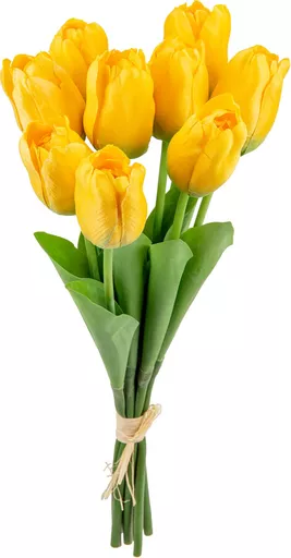 IT393851.jpg