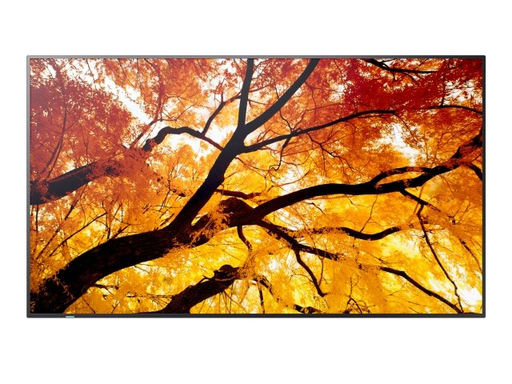 Sharp M432 MultiSync 43" Commercial Display