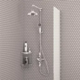 60.2010_1.jpg.jpeg?