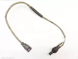 e4f62d92-5d85-49e4-8068-b3aa896b4b6f.jpeg?