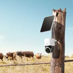 SEWEt7E6AkKWzIwD9QfskA.c-r.jpg?