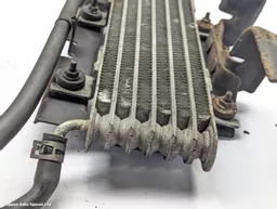 c20a600f-0321-4212-bdf9-54df7cba5259.jpeg?