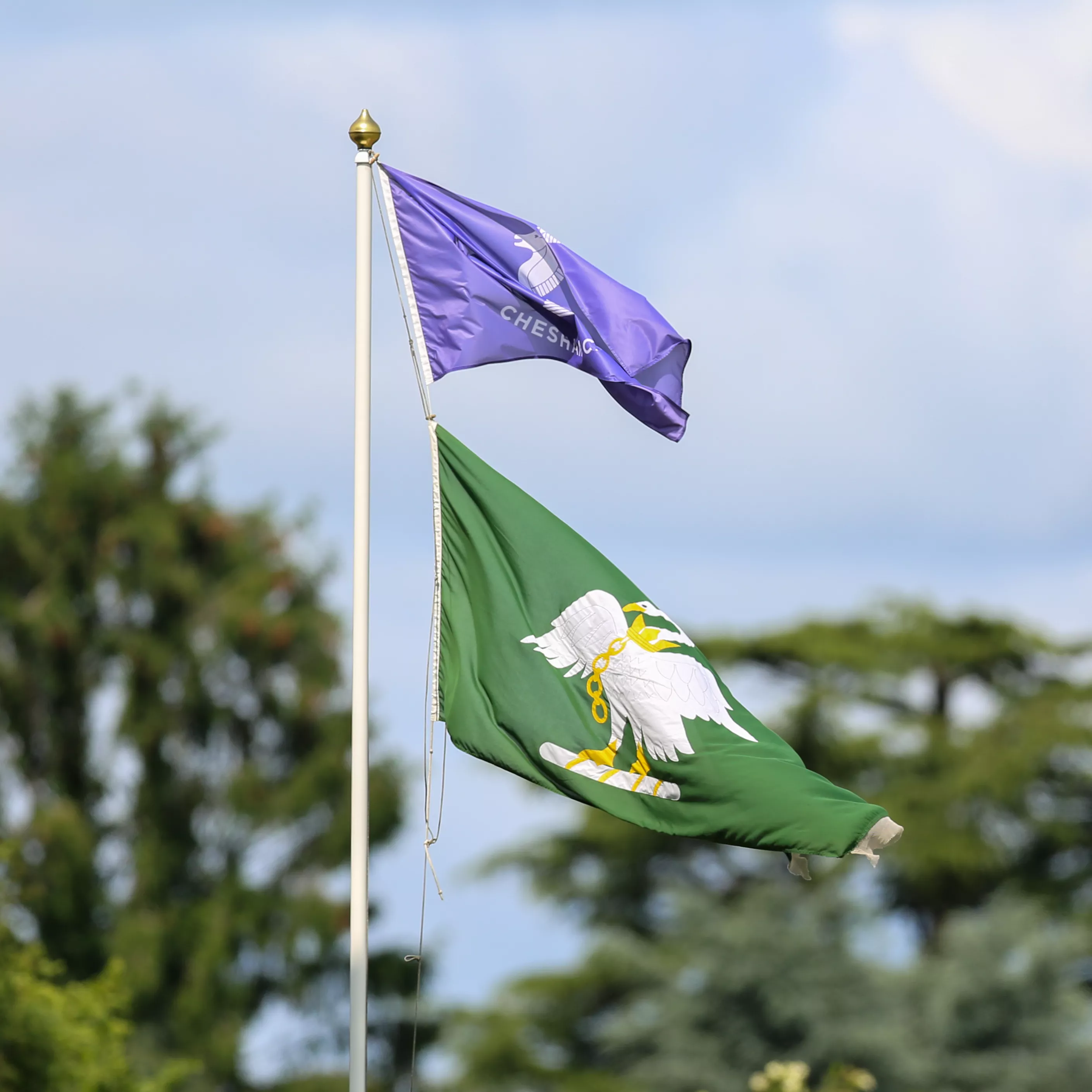 Bucks Men fall short against Berkshire