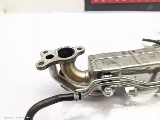 2bc76062-9704-43f1-9144-9abddce2d0dd.jpeg?