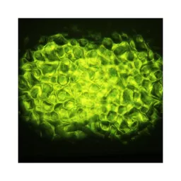 1574270913-23634900.jpg?