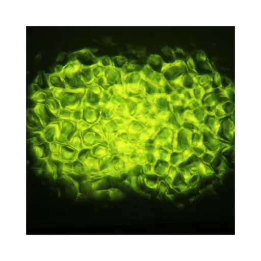 1574270913-23634900.jpg?