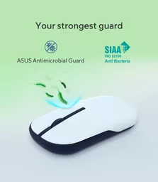 usVFGp9zeUqKBWjOcOVNeg.c-r.jpg?