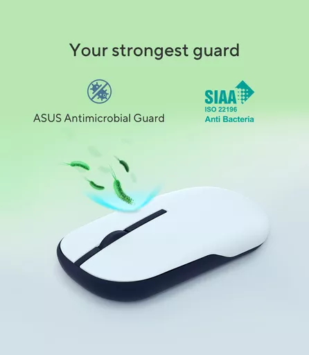 usVFGp9zeUqKBWjOcOVNeg.c-r.jpg?