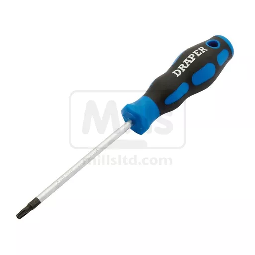 Professional Tamperproof Torx Driver T20 x100mm