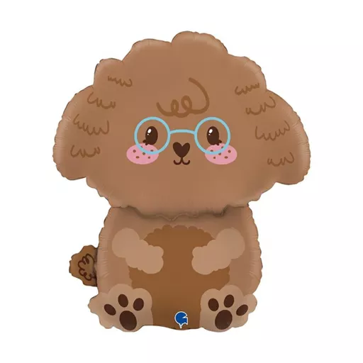 Grabo Cute Toy Poodle 21