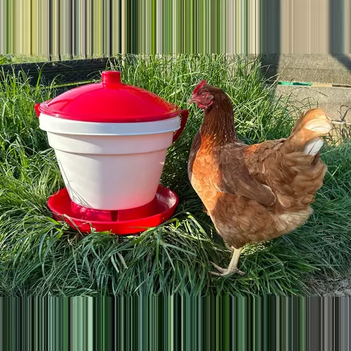 Novital tank drinker RAPID CLEAN 12 litre – Poultry