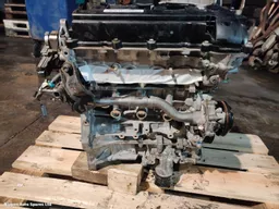 4e1d2cb8-4189-43a6-86d0-1ee53ba63d75.jpeg?