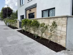 Dangan Properties, Old Ballybrit rd,H91 R9TX -2.jpg