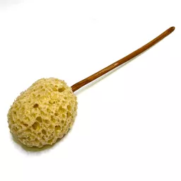 Sponge on Stick.jpg