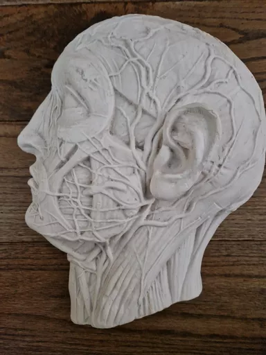 ets_mc_301_head_7.jpg