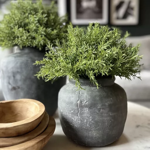 OUT OF STOCK - Green Fine Leaf  Bush In Grey Small Rustic Pot