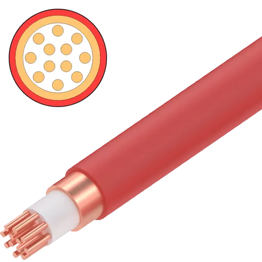 MICC12L-R-MAIN.png