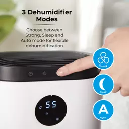 T674005_04.jpg?