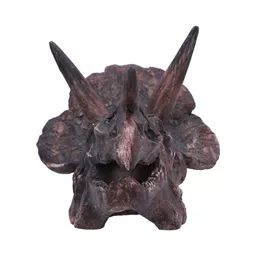 Triceratops - 14 (3).jpg