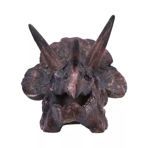 Triceratops - 14 (3).jpg