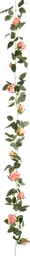 IT393764.jpg
