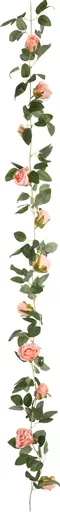 IT393764.jpg