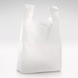 White-High-density-polythene-bag.jpg