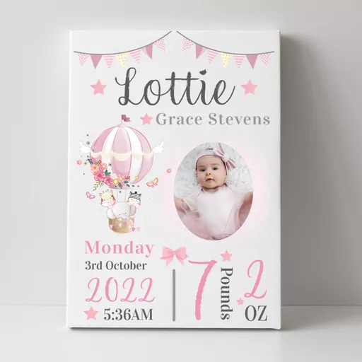 BabyGirlCanvas.png