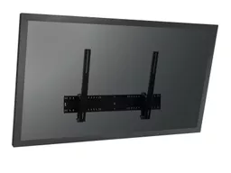 P3tw5gqW4UiDfku8WWJkjA.c-r.jpg?