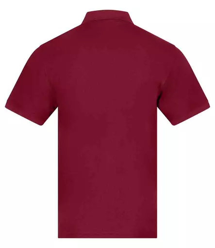 RX109%20BUR%20BACK.jpg?