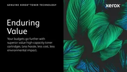 SrDeXkpJfUqCS5wjSImo3g.c-r.jpg?